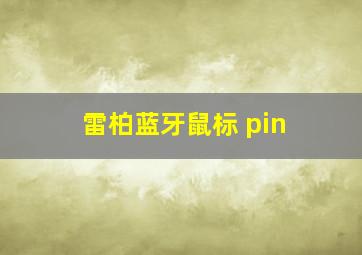 雷柏蓝牙鼠标 pin